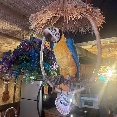 The Kondo Tiki Tampa Dış mekan fotoğraf